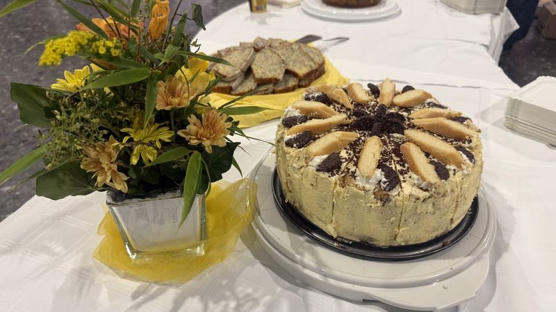 Cream cake with ladyfingers
