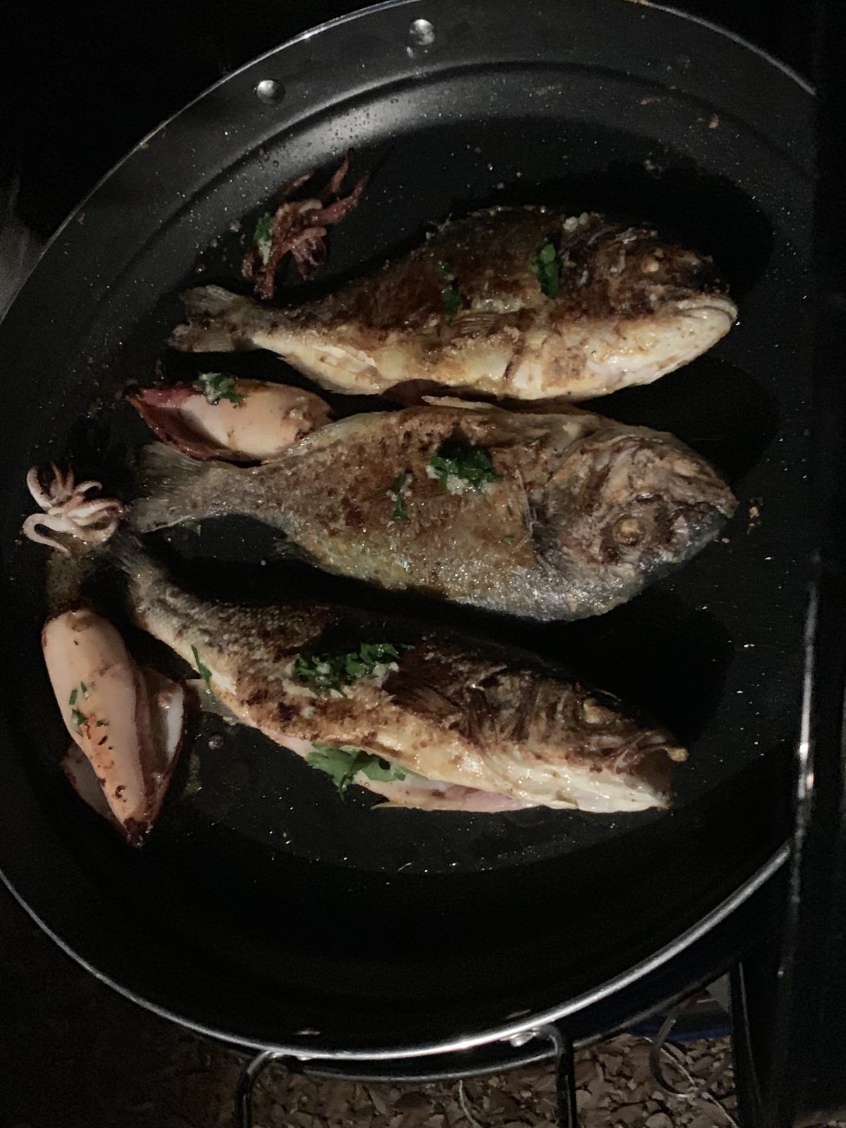 Gegrillte Doraden und Calamari – Rovinj