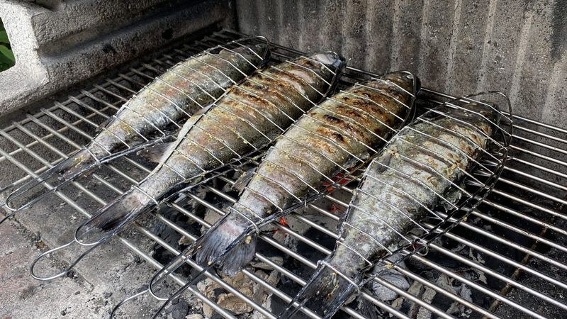 Grilled trout – Linz