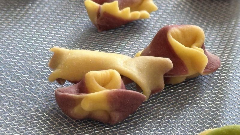 Homemade tortelloni – Linz